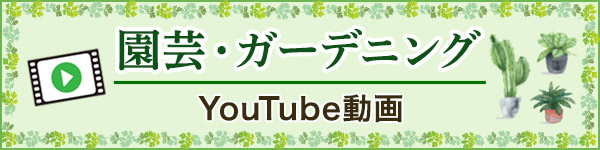 ガーデニング動画